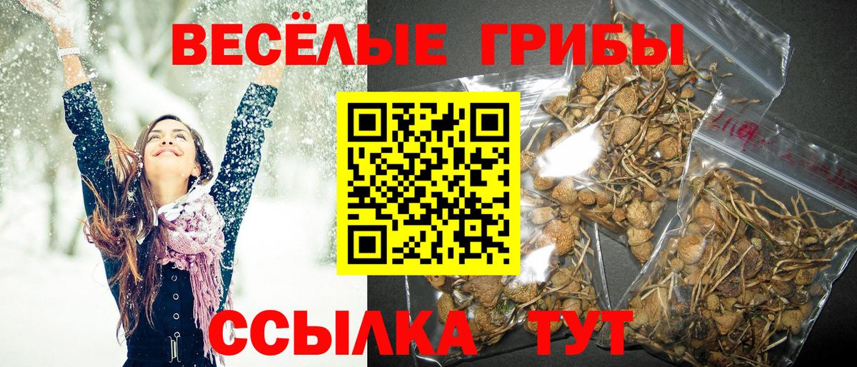Рыбинск  Галлюциногенные грибы ЛСД  Вход с VPN  Галлюциногенные грибы GOLDEN TEACHER 